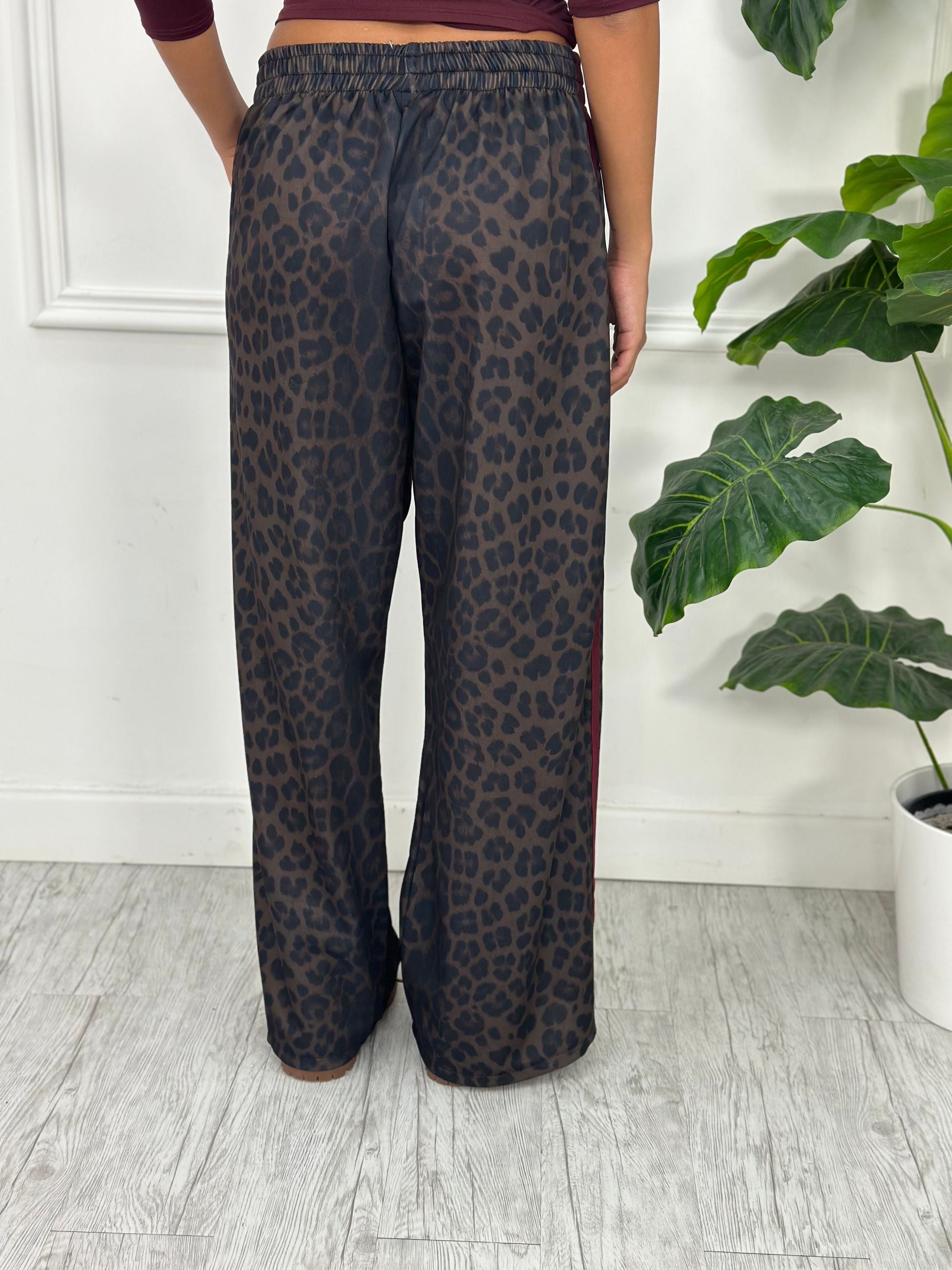 Pantatuta Animalier Z5259