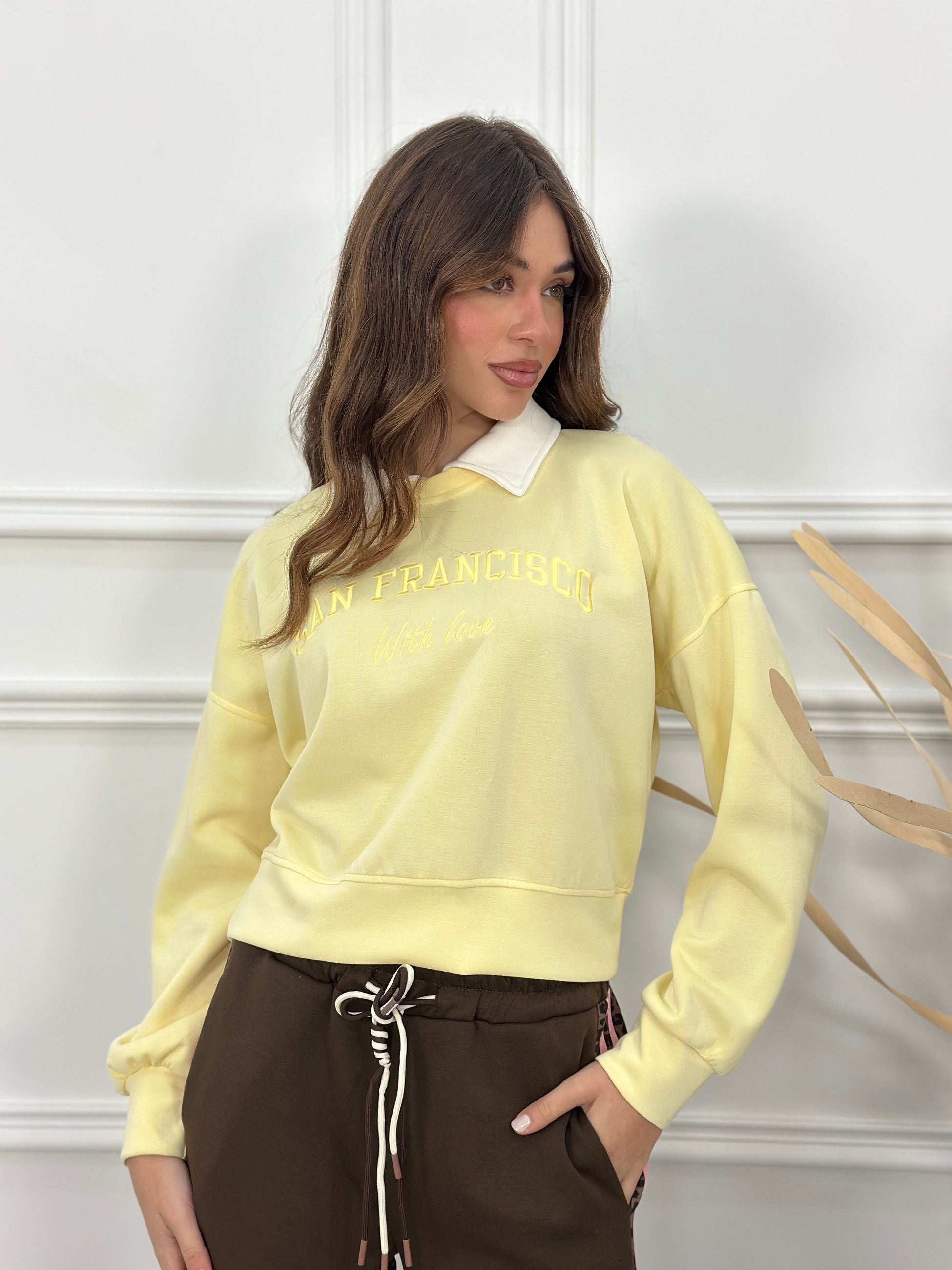 Maglia Felpa San Framcisco (cotone)