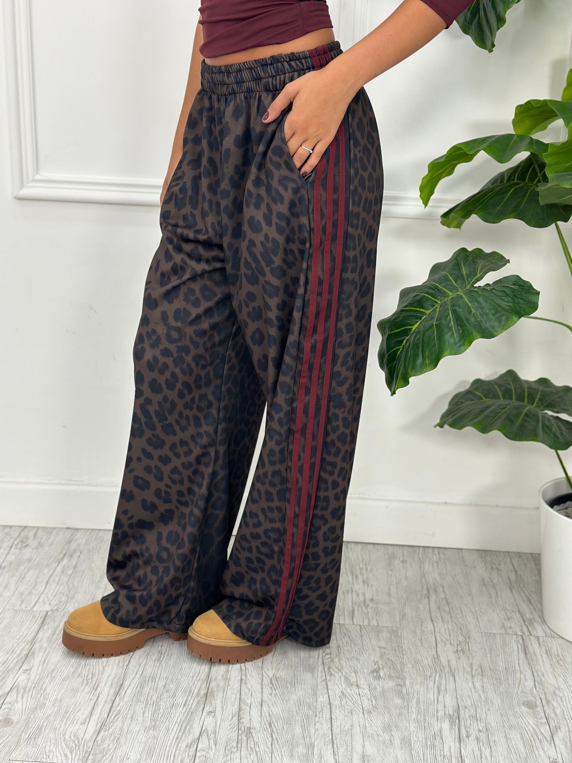Pantatuta Animalier Z5259