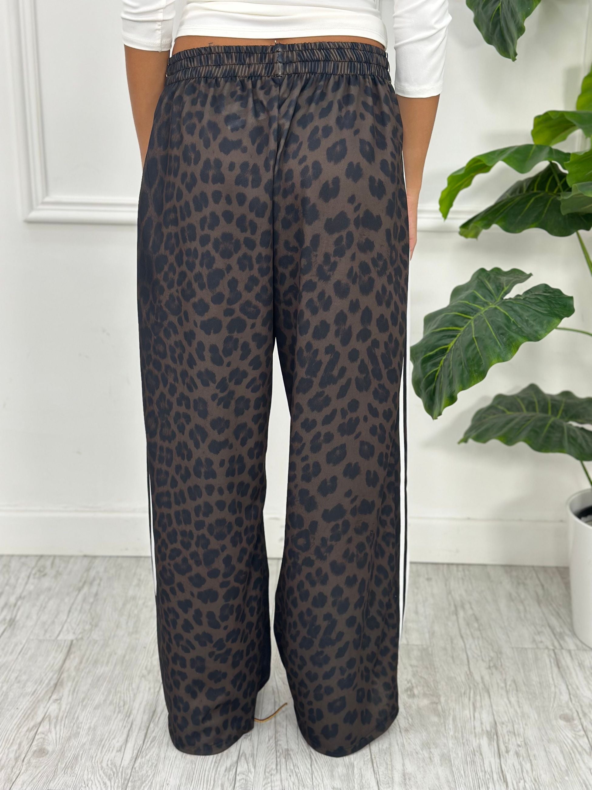 Pantatuta Animalier Z5259