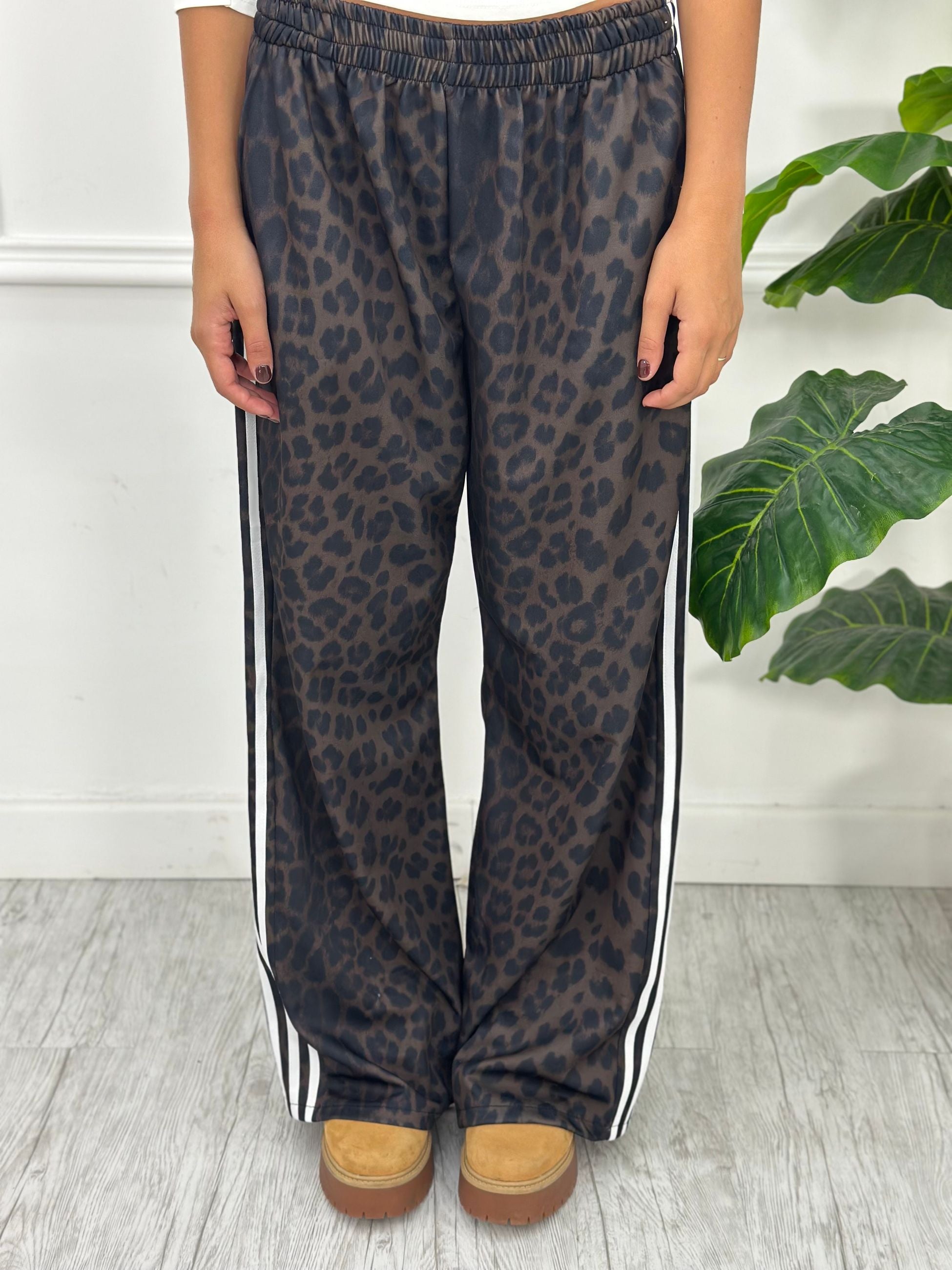 Pantatuta Animalier Z5259